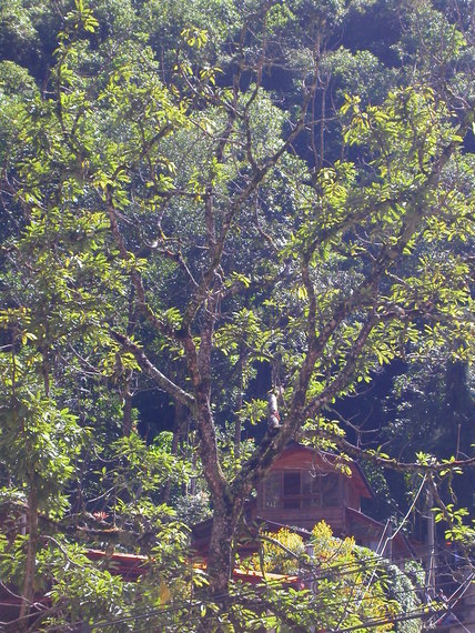 Aguas Calientes, view to the large room of hotel 