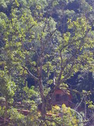 Aguas Calientes, view to the large room of hotel