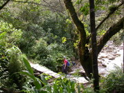 A bridge on the way to the Mandor waterfall