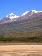 The vegetation at elevation of over 4000m, flat dried lake, in the background VicuÃ±as.