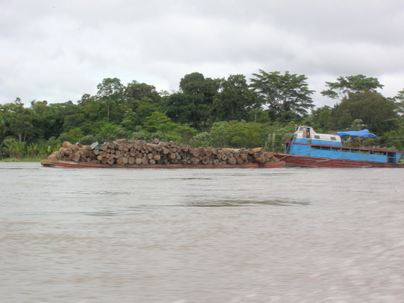 modern timber transports on the Amazon