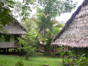 lodge Sinchicuy in the Amazon jungle