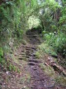 The foot trail to Machu Picchu