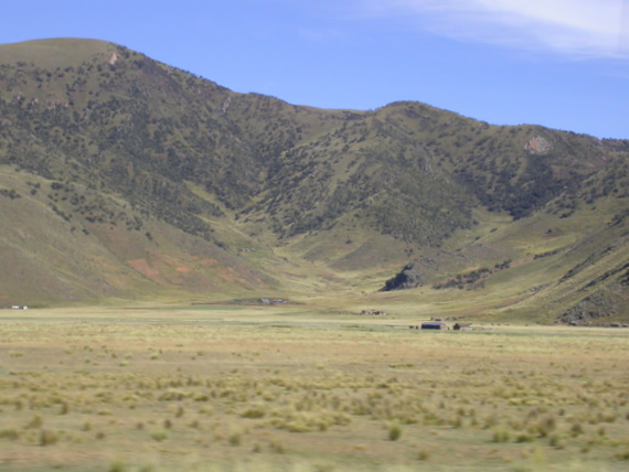 between Juliaca and Pucara, mountains with a forest of  the tree Polylepis (growing above the tree limit!)