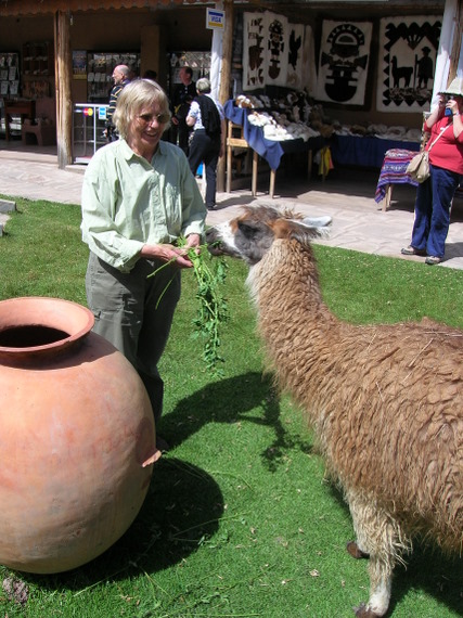bus stop for shopping of jewellery, possibility to feed lamas, alpacas and vicuñas