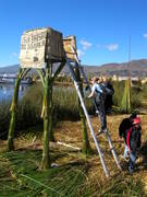 Lake Titicaca, a floating village of the Uros tribe, a look out