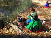 Lake Titicaca, a floating village of the Uros tribe, ladies cooking