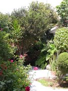 Trujillo, flowery yard of the family of our friend Prof. Aldave